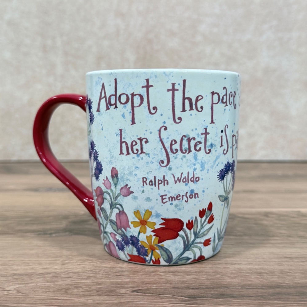 Gibson Home Ralph Waldo Emerson Quote Mug Nature Birdhouse Floral Red Handle